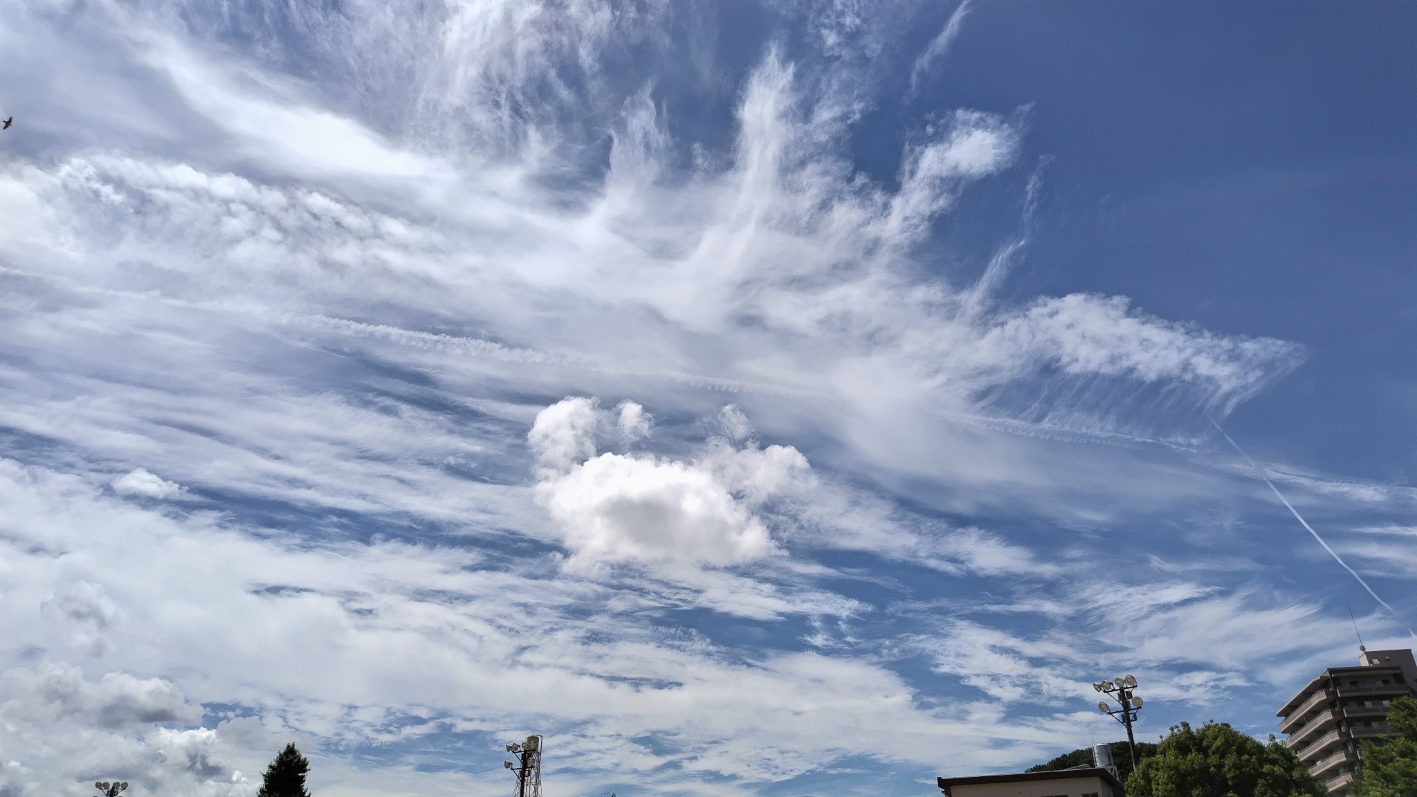 夏の雲 おくで on X: 