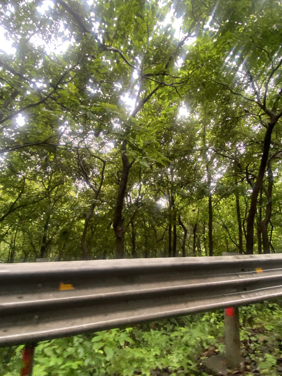 Driving down the West coast highway. #WesternGhats