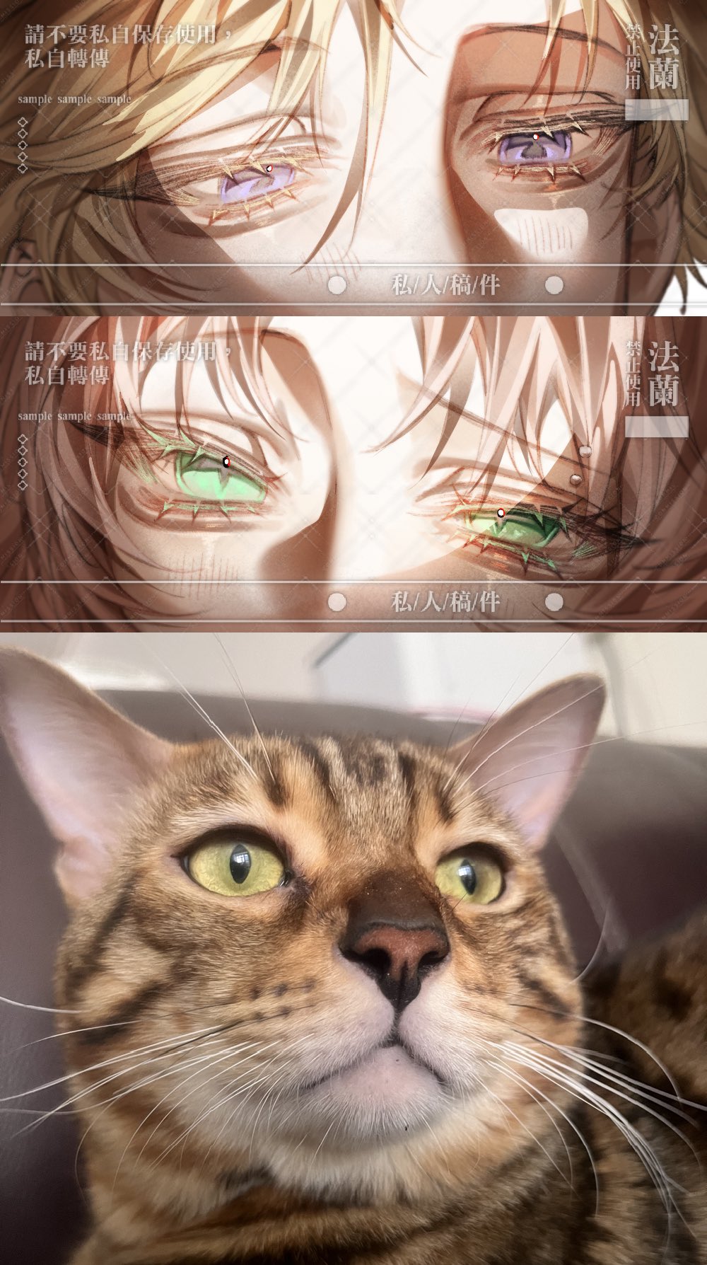 法蘭(@chnyzhn9686942) / X