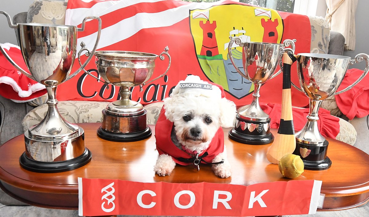 Best of luck to the <a href="/OfficialCorkGAA/">Cork GAA</a> Hurling team in Croke Park today, Ádh mór ar fhoireann Chorcai #CorkGAA, #RebelsAbú, #Cork
