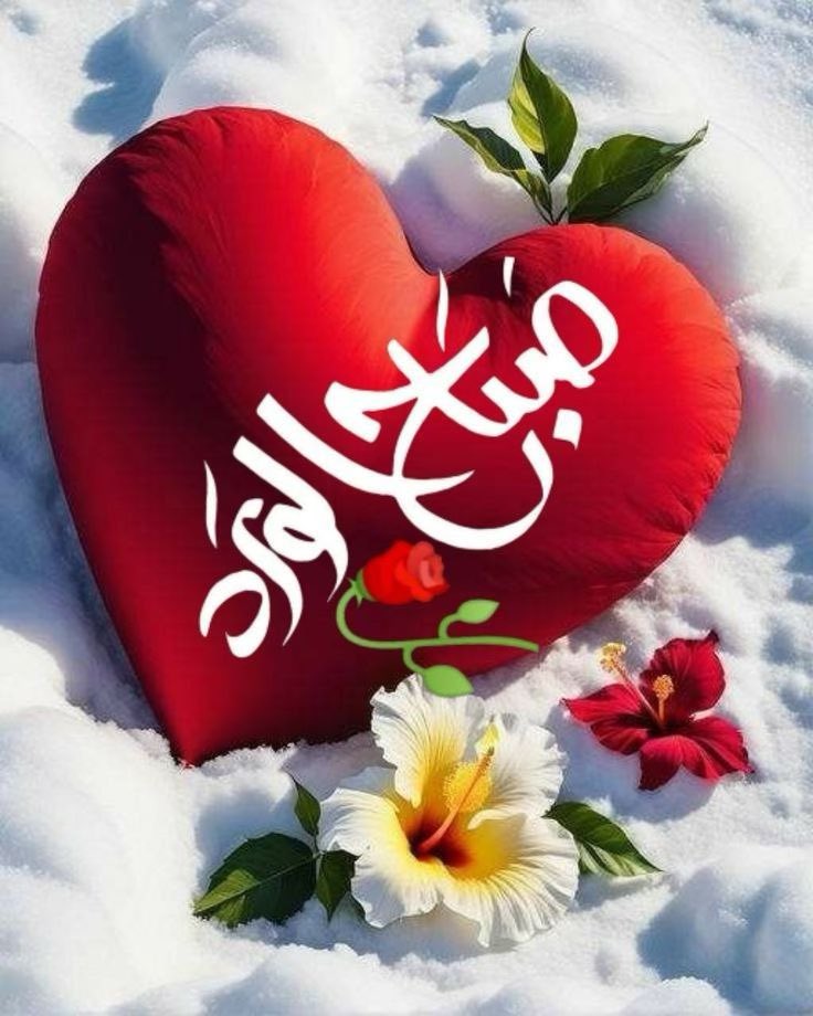 ا̍ڷڔٰا̍ڜد ּ 𝒜ℒℛ𝒜𝒮ℋ𝒟 tweet media