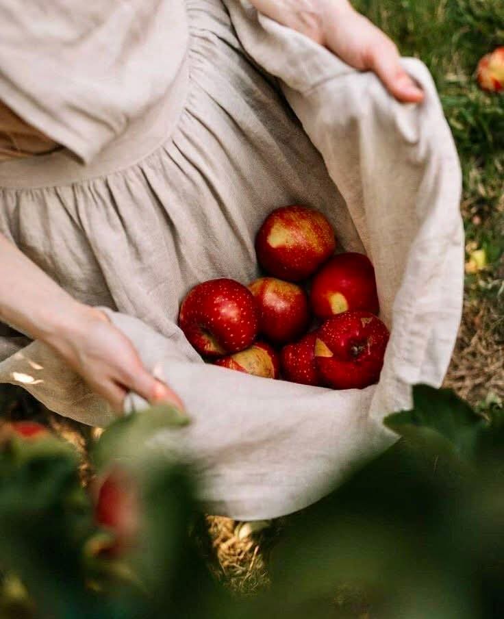 " إذا كانت الثمرة التي أكلتها كُتبَت لك منذُ اللحظة التي زُرِعت بذرتها، فما الذي يجعلك تظن أن ما كُتب لك لن يجد طريقه إليك؟ "#صباح_الأشياء_المُشرقة 
#صباح_الخير_والسعاده
