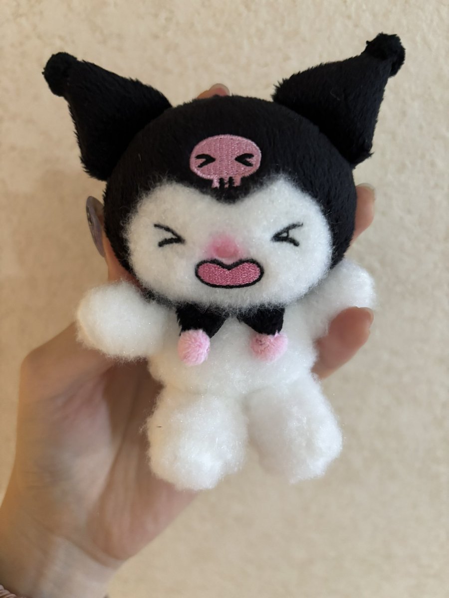 昨日サンリオショップでこのクロミさん見かけてかわいいけど……と思って見送ったのに今日また別の場所でサンリオショップ見つけてしまって、やはりかわいいとなりお迎えしてしまった……