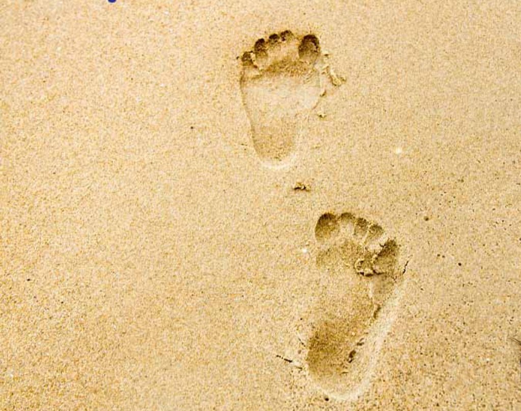 Sometimes the smallest step is the 

bravest move......