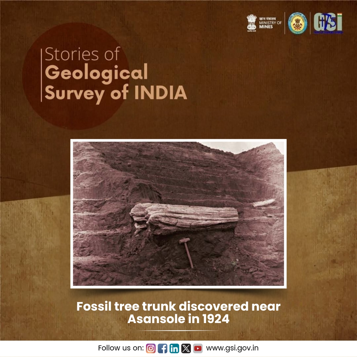 W. T. Blanford, B. F. Blanford and Theobold in 1857 identified the basal beds of coal bearing series in Talcher Coalfield as plausible glacial origin. Comparing the vertebrate fossils and Glossopteris and other plant fossils discovered from the Panchet rocks with those of