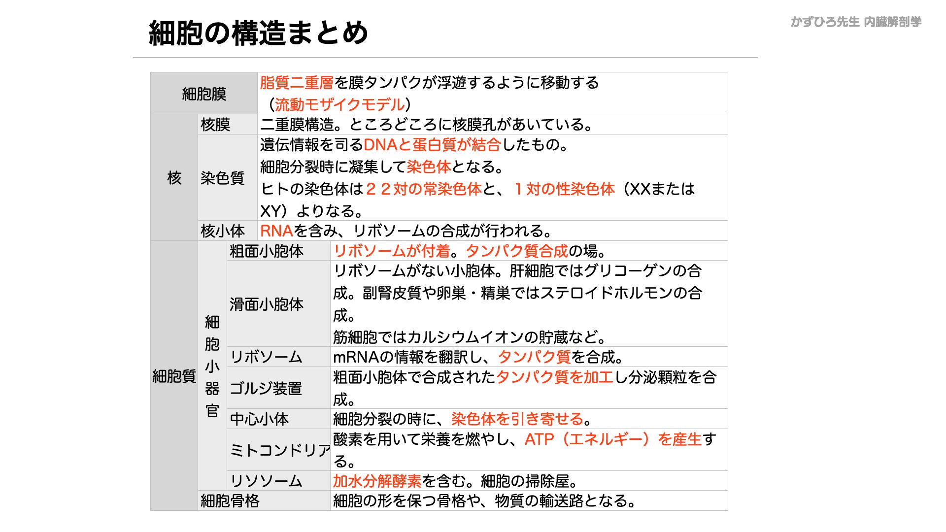 病理学 遺伝学 生化学 解剖生理学 技術教本 医系専門】洋書 注目新刊情報（2025年6月20日更新）｜大学生協