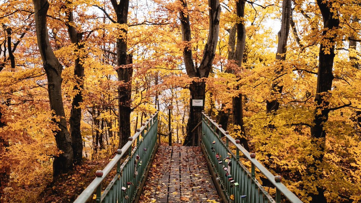 “Even tiny new leaves signal fresh starts. Embrace your journey, one step at a time. 🌱✨ #SelfLove #MentalHealth”
