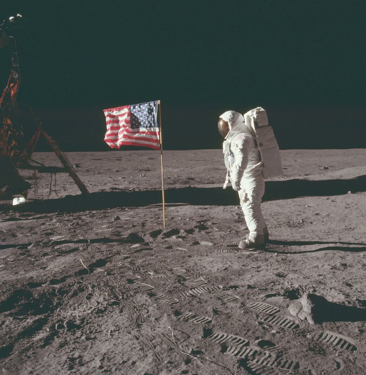Physics In History (@physinhistory) on Twitter photo On this Day in 1969, the Apollo 11 crew successfully accomplishes the first human landing on the Moon, touching down in the Sea of Tranquility. Six and a half hours later, astronauts Neil Armstrong and <a href="/TheRealBuzz/">Dr. Buzz Aldrin</a> make history as the first humans to walk on the lunar surface. On this Day in 1969, the Apollo 11 crew successfully accomplishes the first human landing on the Moon, touching down in the Sea of Tranquility. Six and a half hours later, astronauts Neil Armstrong and <a href="/TheRealBuzz/">Dr. Buzz Aldrin</a> make history as the first humans to walk on the lunar surface.