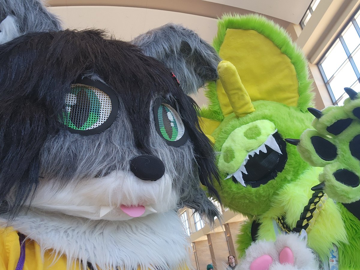 V3rdant_TW's tweet image. Pictures from today!!!! Familiar and new faces!

#ConnectiCon #ConnectiCon2025 #furry #fursuit