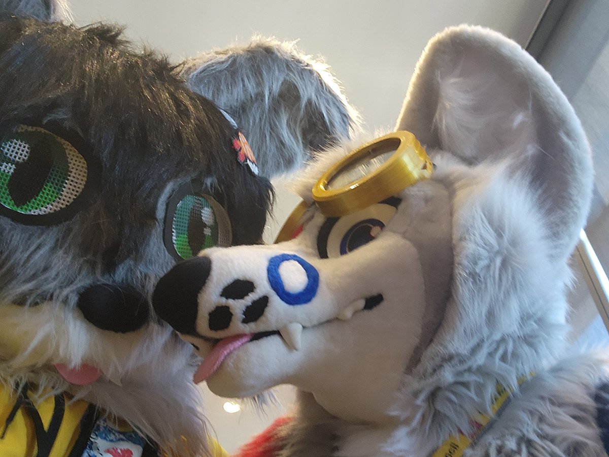 V3rdant_TW's tweet image. Pictures from today!!!! Familiar and new faces!

#ConnectiCon #ConnectiCon2025 #furry #fursuit