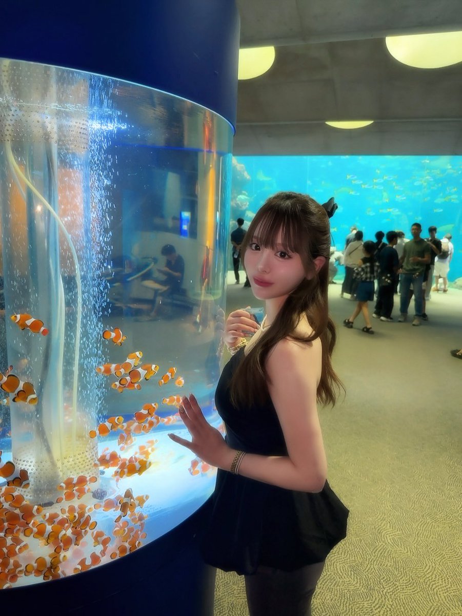 zui___chan's tweet image. みんなデジカメでエモい写真あげてて羨ましいけど、私はMeituのフィルターで何とかエモを作り出してるよ。