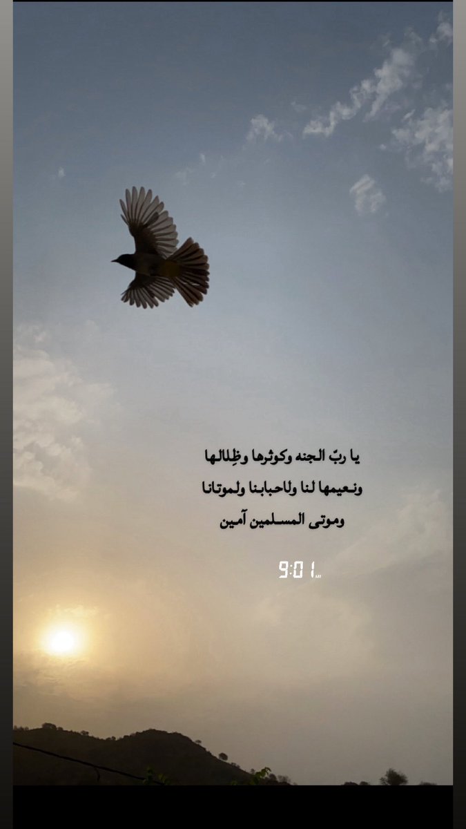#صباح_الخير
صباح الخير