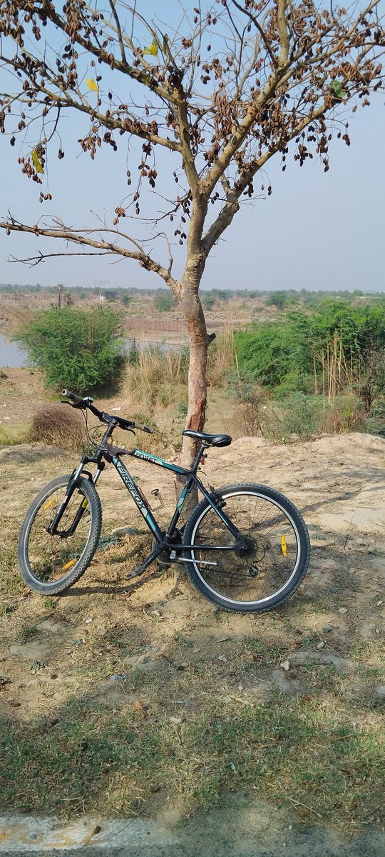My cycle 'Firefox Target' was stolen in the late nite of July 8/9th from DG04, Flat 606, Devika Gold Homz, Noida ext., thana: Bisrakh

I have raised many complaints against maintenance dept (Imagitech infra) but there is no response. Have also filed an eFir but no response.