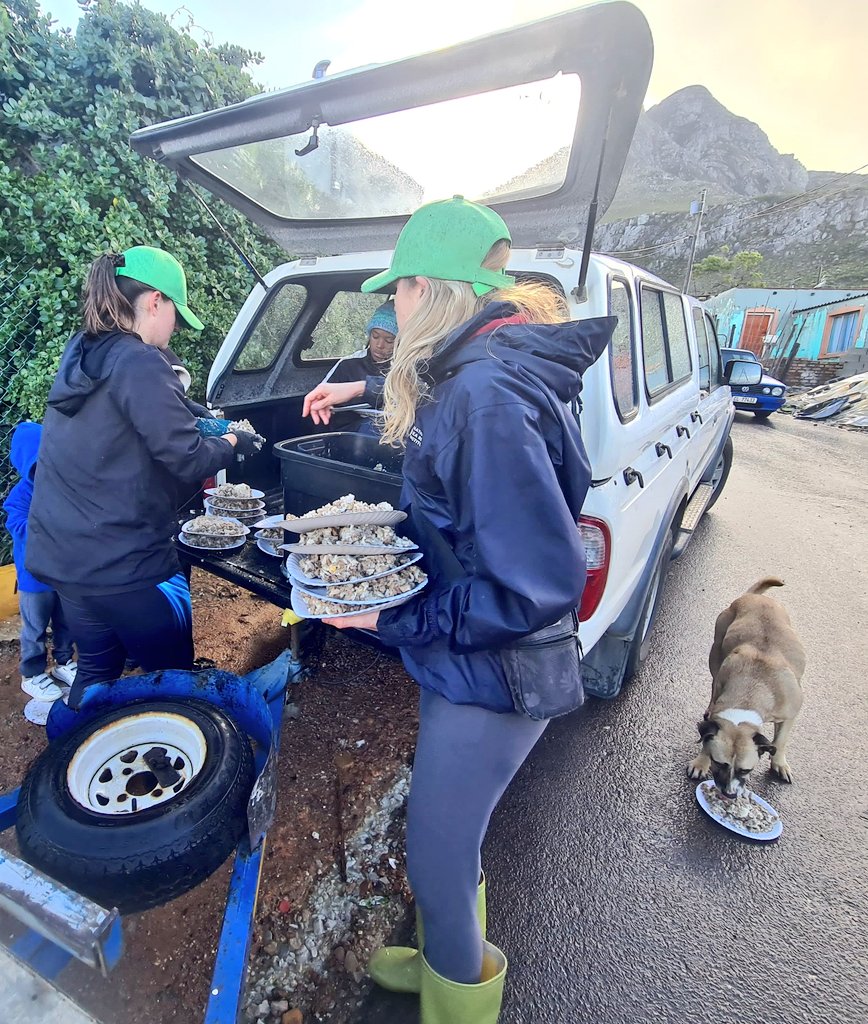 lolsielove's tweet image. Today we do not have enough food, I only have two volunteers, but as always I will not let the animals down! I will show up for them today and every Sunday as promised!!