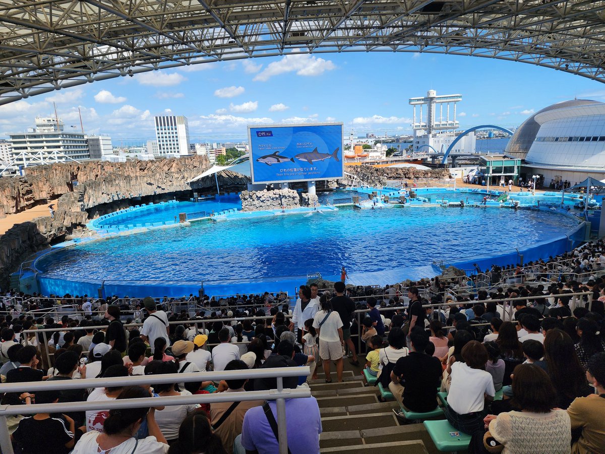 DJ_TAIYO's tweet image. でかい水族館きた