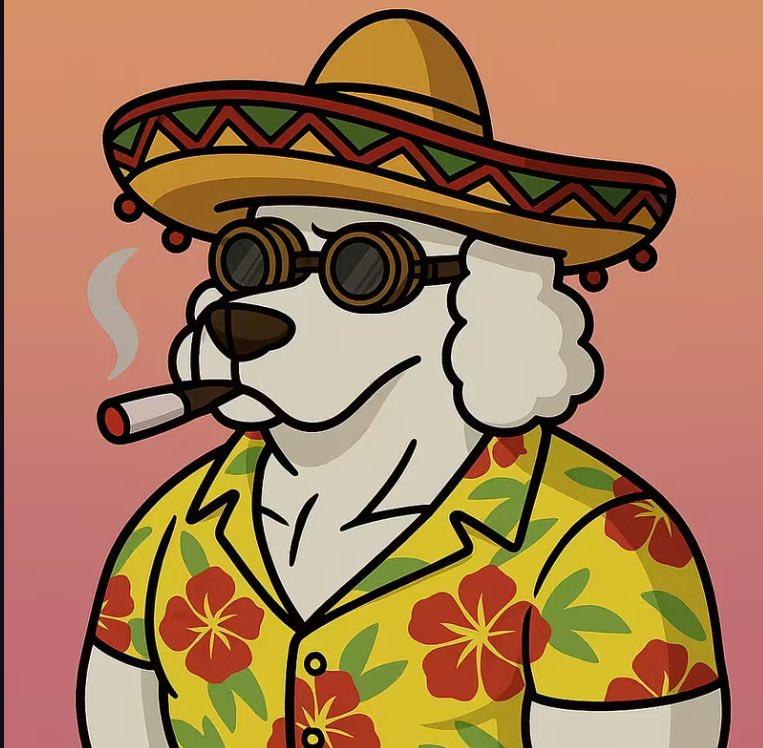 SauceBoss (@sauceboss35) on Twitter photo <a href="/OxSimpleFarmer/">SimpleFarmer</a> sooo I def did a thing and I plan to trail some of <a href="/DaSpookyMan/">Spooky ๐ฆ</a> and his blaze of glory either I plan to have fun with community! Stay clutch legends. <a href="/OxSimpleFarmer/">SimpleFarmer</a> sooo I def did a thing and I plan to trail some of <a href="/DaSpookyMan/">Spooky ๐ฆ</a> and his blaze of glory either I plan to have fun with community! Stay clutch legends.