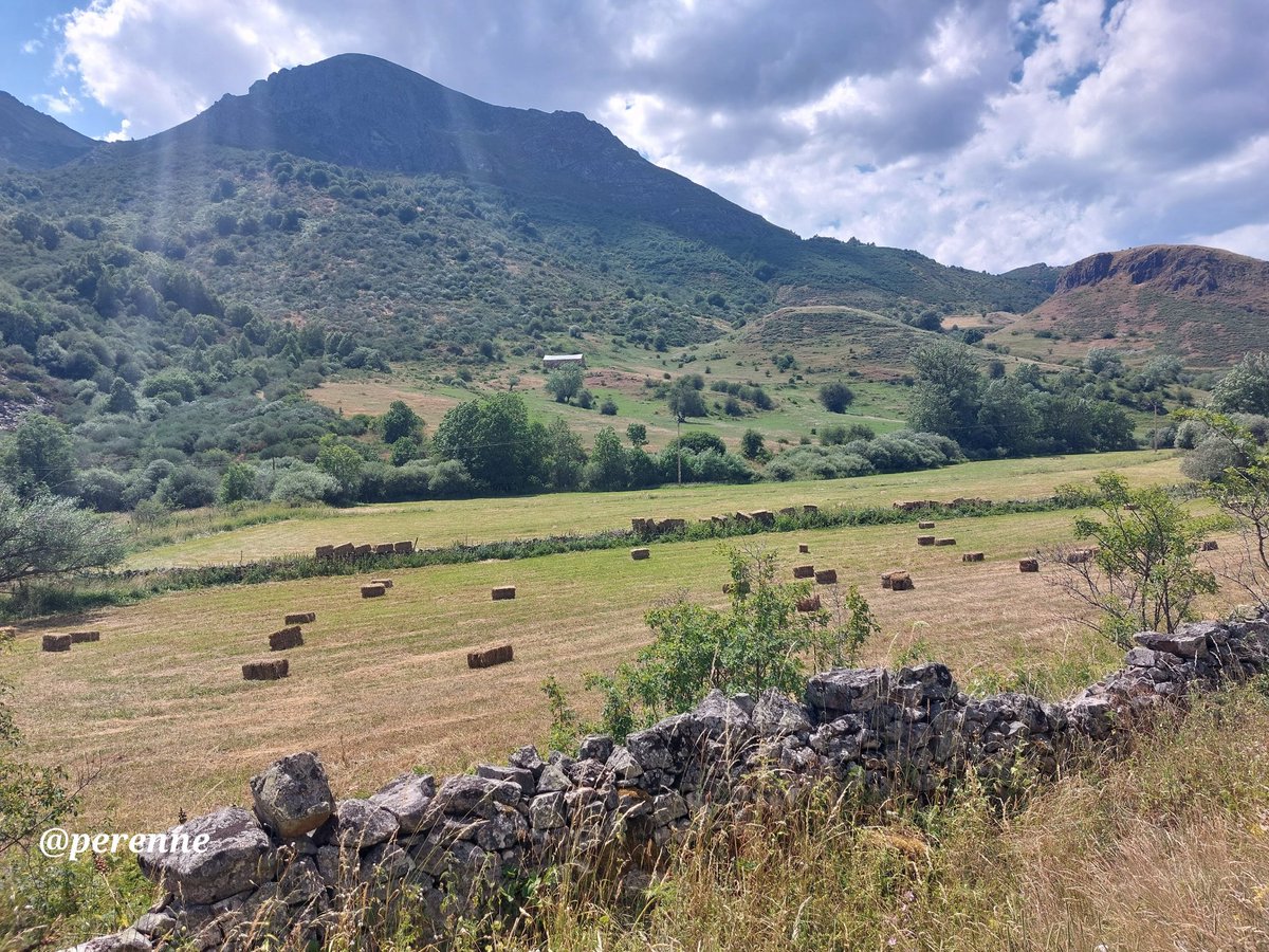 Perenne5's tweet image. Éste es el mes por antonomasia de la siega y la trilla; actividades tan ligadas al mundo rural, acompañadas tradicionalmente de la fiesta y la alegría.
Agradecimiento siempre a la gente del campo.
#BuenosDías #20Julio