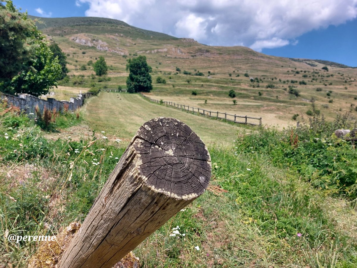 Perenne5's tweet image. Éste es el mes por antonomasia de la siega y la trilla; actividades tan ligadas al mundo rural, acompañadas tradicionalmente de la fiesta y la alegría.
Agradecimiento siempre a la gente del campo.
#BuenosDías #20Julio