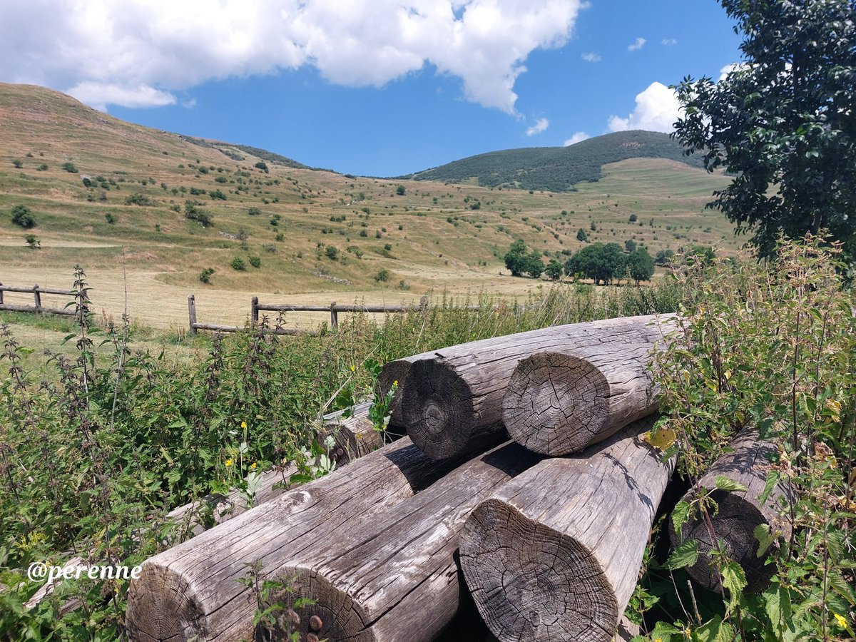 Perenne5's tweet image. Éste es el mes por antonomasia de la siega y la trilla; actividades tan ligadas al mundo rural, acompañadas tradicionalmente de la fiesta y la alegría.
Agradecimiento siempre a la gente del campo.
#BuenosDías #20Julio