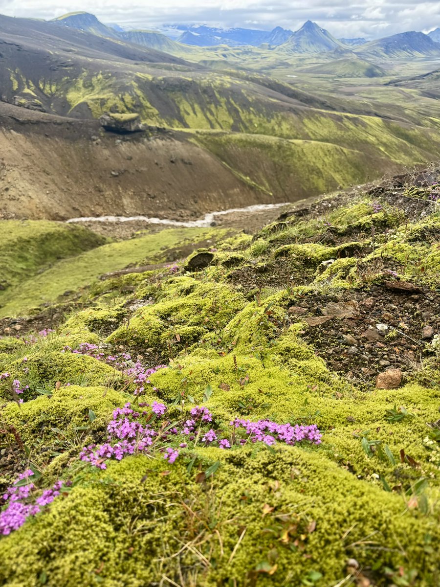 SimonCoombes's tweet photo. Day 2 part 3. Through astonishing terrain and then into green mountains. Several rivers to cross. @dhsboys Gold DoE https://t.co/pPBXIr28kj