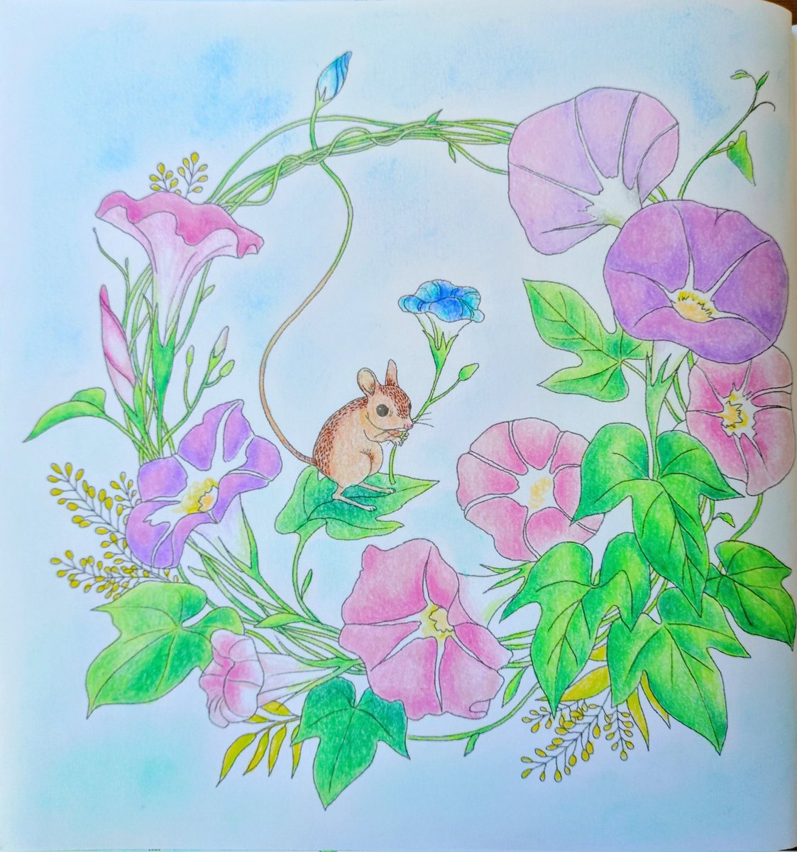 みちこ (@gFPXnjgX4sR0Fgd) / Posts / X