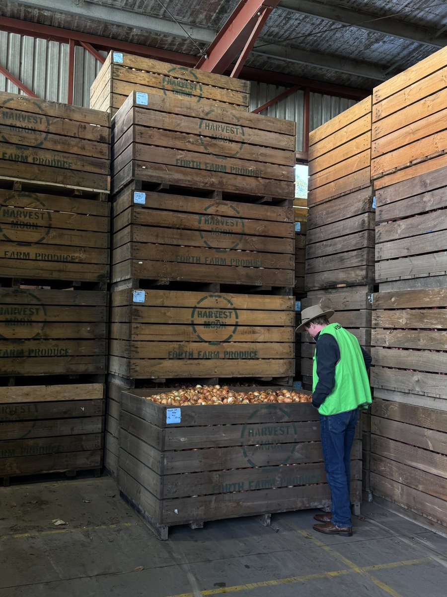 Young Liberals 🇦🇺 tweet media