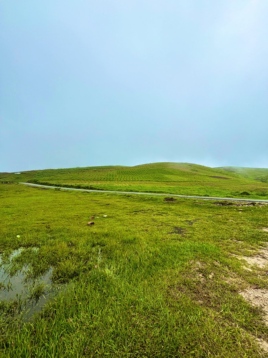 abhishekporaxar's tweet image. You may call me biased but the Shillong plateau landscape is unparalleled in India.