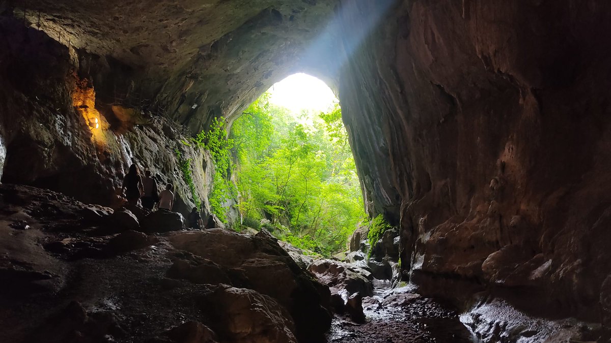 Basta con mirar y callar para escuchar tu Palabra. Basta con hacer silencio dentro para escuchar tu voz como María.

Hoy sonando en #Rezandovoy este tema que resume la actitud de vivir cada cosa con actitud contemplativa: 
🙏🎶↘️
youtu.be/D0Eg158og7M?si…