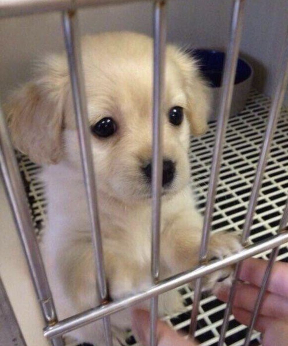 잘먹고잘살아라개새끼야
                                                         아직도 바빠…?