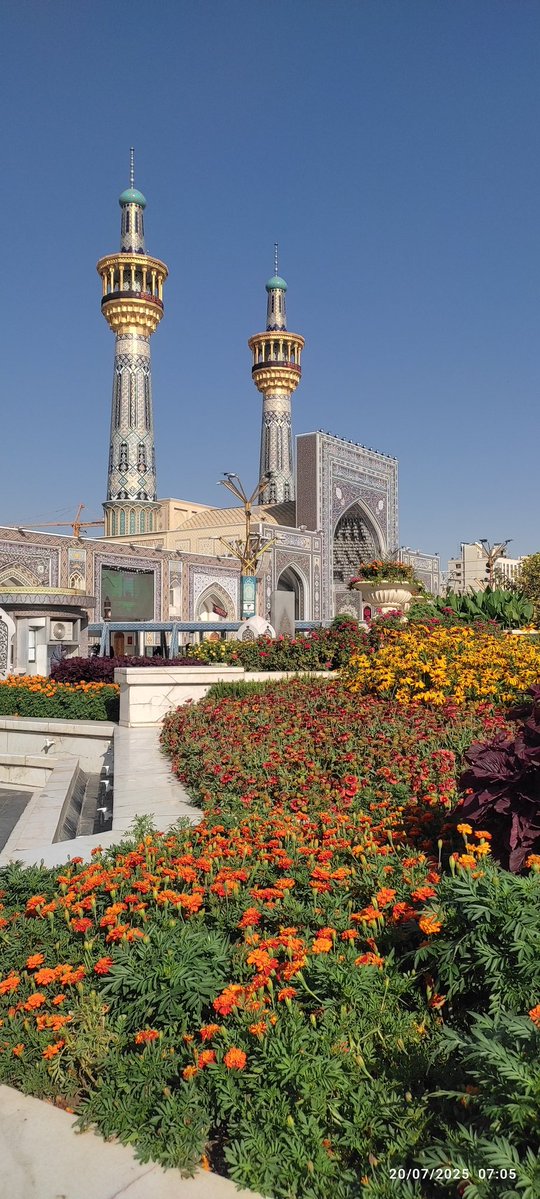 H_Parsa0061's tweet image. #نائب_الزیاره تونم