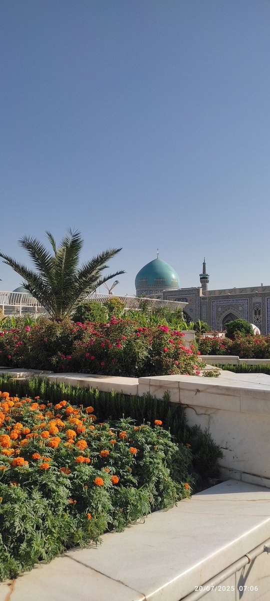 H_Parsa0061's tweet image. #نائب_الزیاره تونم