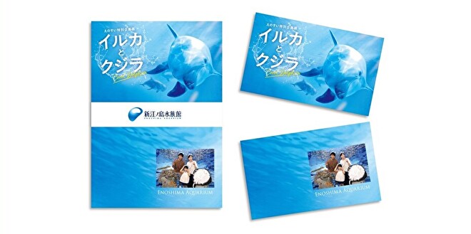 enosui_com's tweet image. えのすい特別企画展「イルカとクジラ」オリジナルフォトカードをプレゼント!
🗓️~9月30日(火)
📍相模湾ゾーン 2F フォトコーナー
記念撮影に参加した方に、オリジナルフォトカードをプレゼント🎁(1グループ 1枚)
「はい!イワシ!」の掛け声で、思い出を形にしませんか?
enosui.com/shop_photo.php