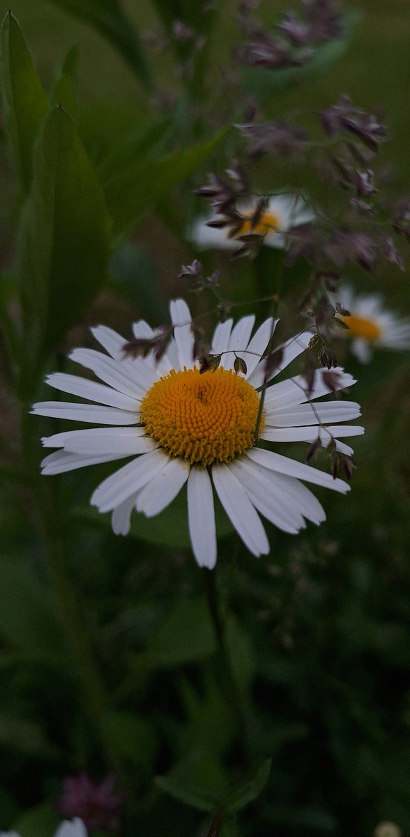 cumulusmoni's tweet image. Guten Morgen meine lieben Freunde. Mit diesem Foto verabschiede ich mich leider eine Weile von euch. In meiner Familie gab es gestern einen Notfall, wir sind in großer Sorge. Ich wünsche euch eine gute Zeit, bleibt gesund und hoffentlich bis bald 🍃🤍🙏.