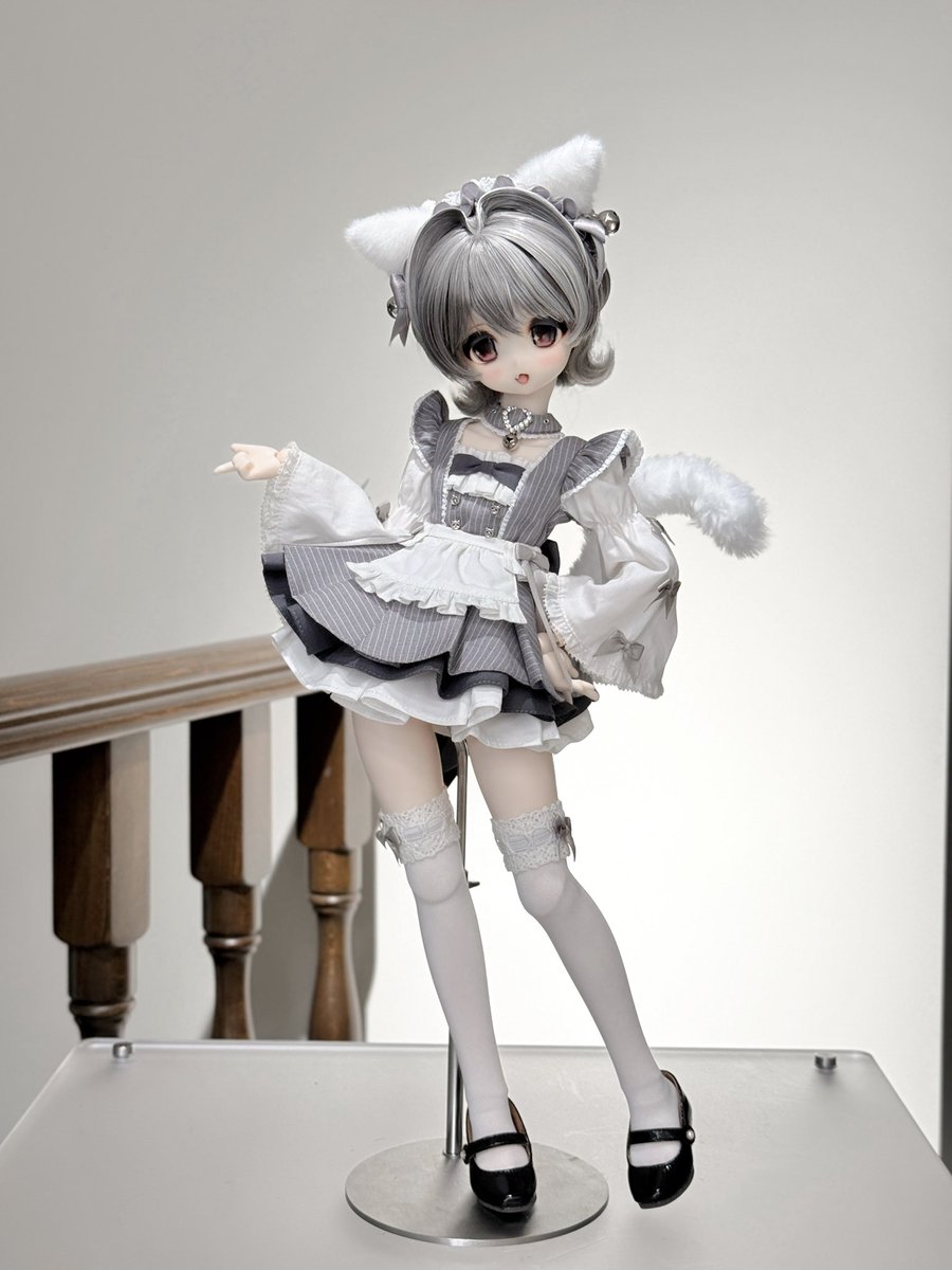 ≽^ ⦁ ⩊ ⦁ ^≼
灰色の猫が襲ってくる