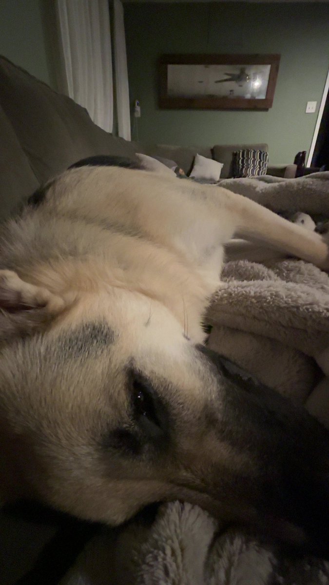 Juicelegend tweet media