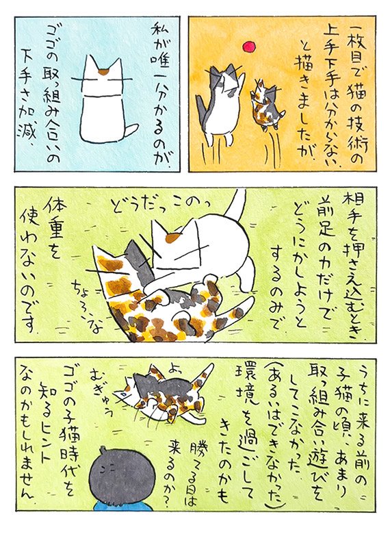 ハンターの裏に│フェリシモ猫部  https://t.co/dQ8Wa3paYI @felissimonekobuより 
