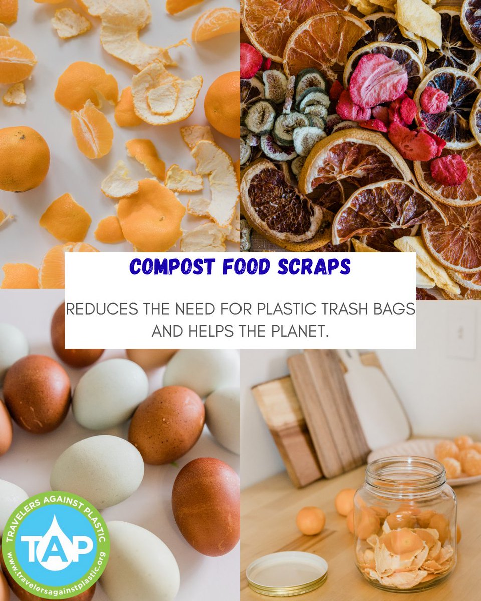 TAPcampaign's tweet image. Compost your food scraps!
It keeps your trash drier (so you can skip plastic bags), cuts methane emissions, and turns waste into nutrient-rich soil. Win-win-win.
#PlasticFreeJuly #ZeroWaste