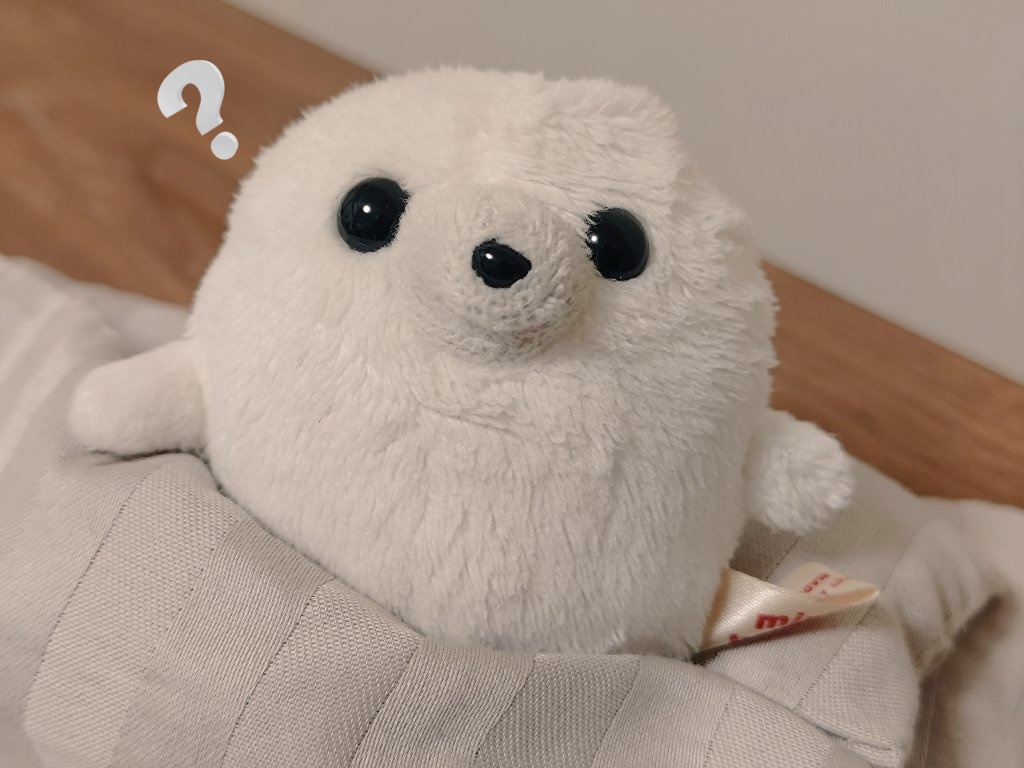 gomanosuke613's tweet image. ねぐせ ひどい？

ちょと まてて……

じゃん！　もとどり！！🌟