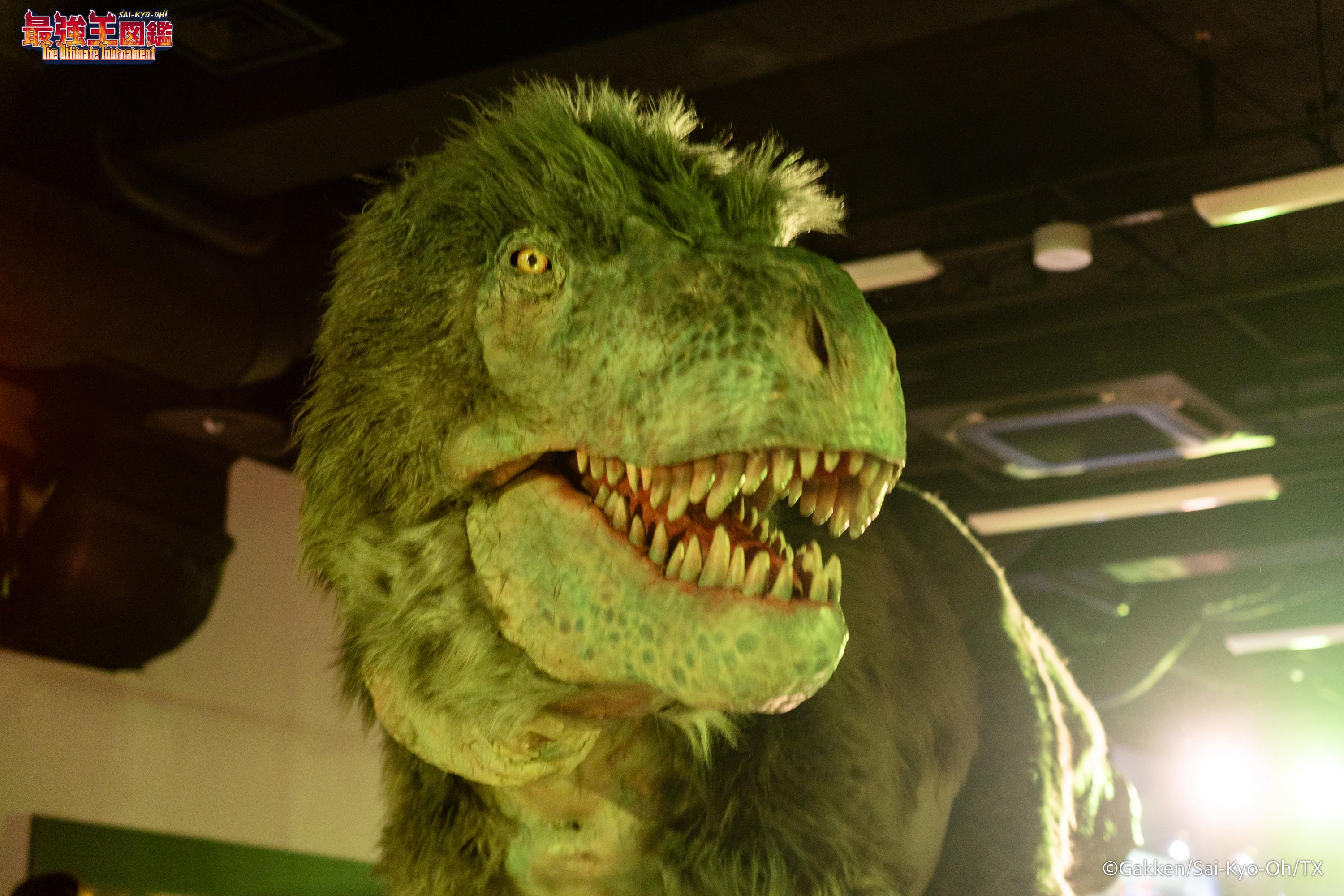 最強王図鑑デフォルメシールVol.1 ティラノサウルス SSSKOR Amazon