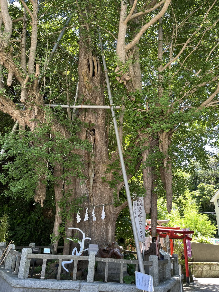 maywonder0513's tweet image. 三崎港近くの海港神社⛩️に参拝してます。