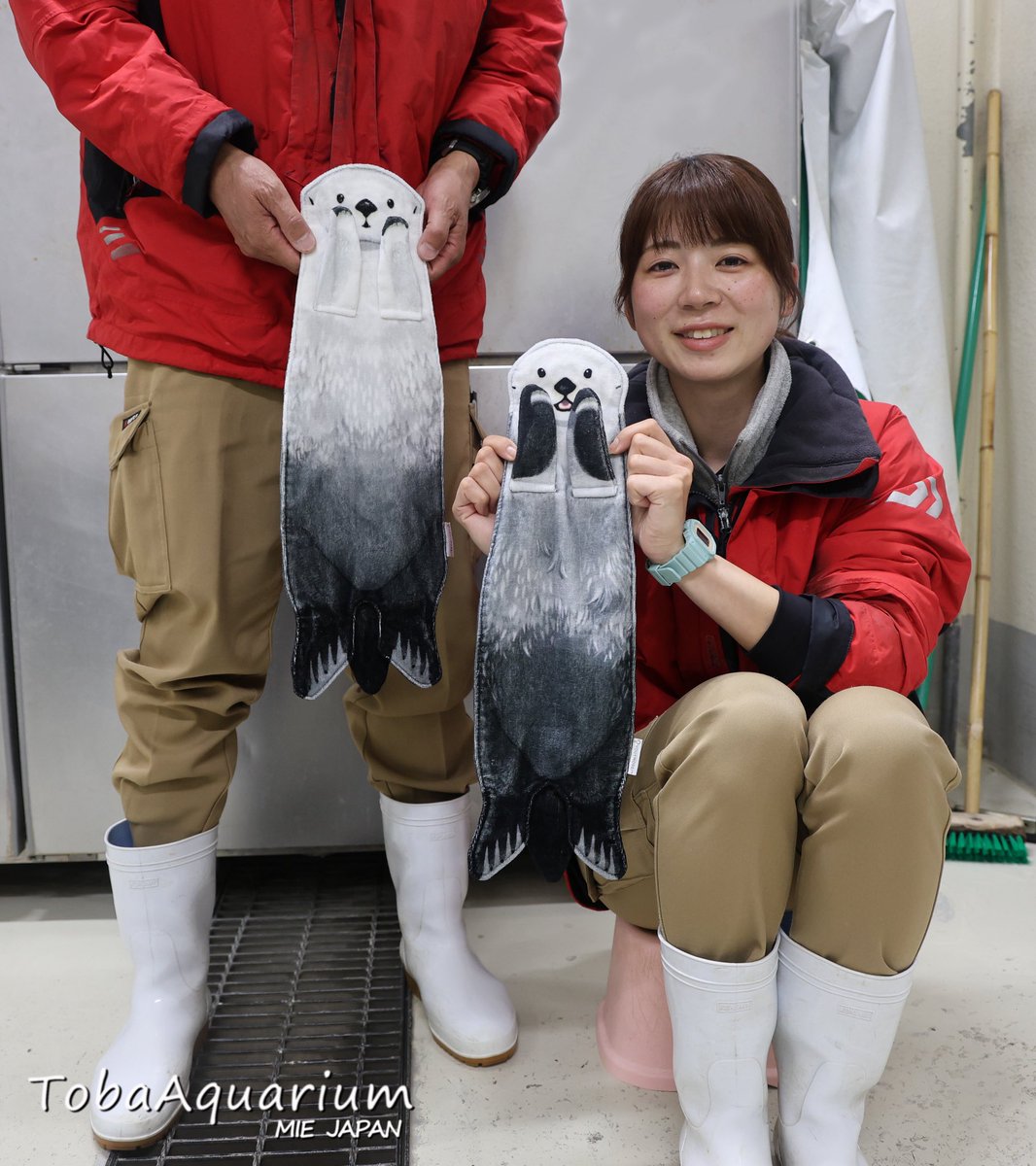 TOBA_AQUARIUM's tweet image. 【フェリシモ×鳥羽水族館】
フェリシモ様とのコラボ商品「おなかをなでなで ラッコのぶらーんタオル(税込3,080円)」を館内2ヶ所のショップでも販売中です❣️🦦
ラッコの飼育係が監修しており、メイとキラの表情や毛並みなど細部まで再現されています✨
#鳥羽水族館 #フェリシモ #ラッコ