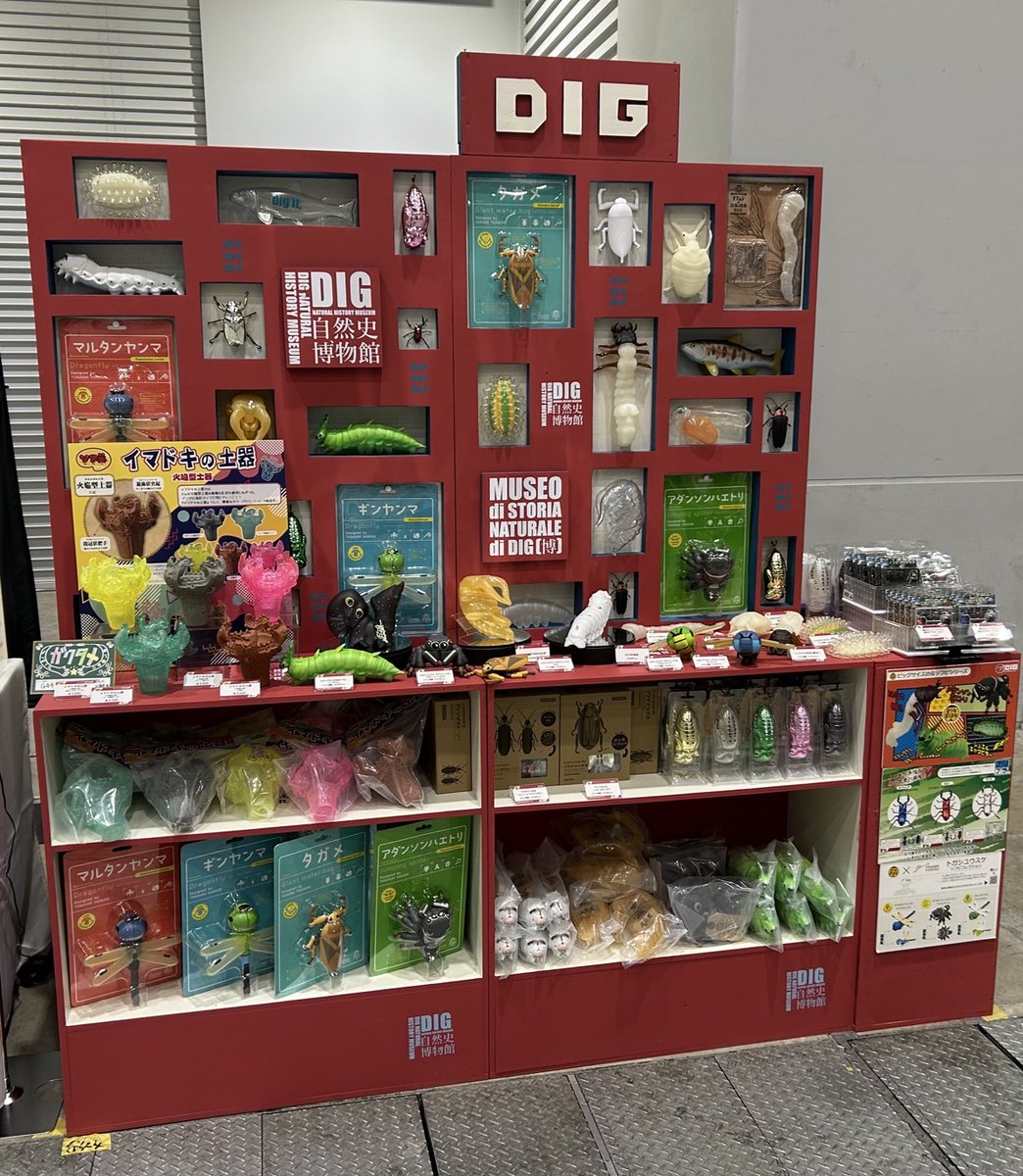 DIG_museum's tweet image. \\ 🎉開催しました🎊//
🔍 #博物ふぇすてぃばる!11
#ソフビ
『ソフ美 イマドキの土器~ #火焔型土器 ~』
『#アケビコノハ の幼虫』
を会場にて発売中❗❗
DIGブース 【G44】にてお待ちしております!
【会場】:東京ビッグサイト南1ホール
#博物ふぇすてぃばる虫部
#博物ふぇす考古部2025