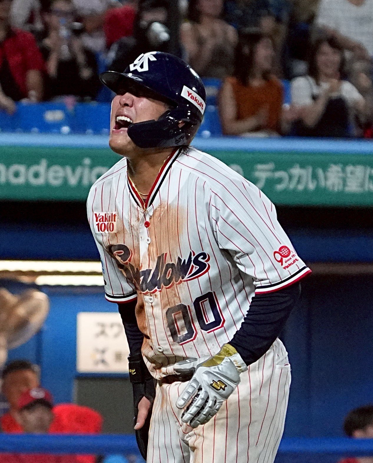 ヤクルトスワローズの赤羽由紘選手実使用スパイク ⚾️ 6/20.21.22はSwallows LADIES DAY!!!🍀🕊️ 本日の来場者