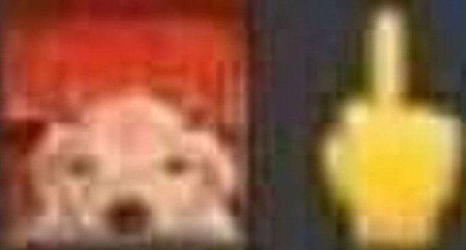 EvokenDefender's tweet image. FUCK ALL THE EVOVEGETA HATERS
WHEN YOU REALIZE THAT YOU HAVE TO PLAY THE GAME INSTEAD OF GETTING EVERYTHING HANDED TO YOU FROM THE START JUST BECAUSE YOU’RE LAZY, AND THAT UNITS NEED TO BE BUILT TO REACH THEIR FULL POTENTIAL, IN A GAME WHERE YOU HAVE TO PLAY, YOU’LL SHUT YOUR FM