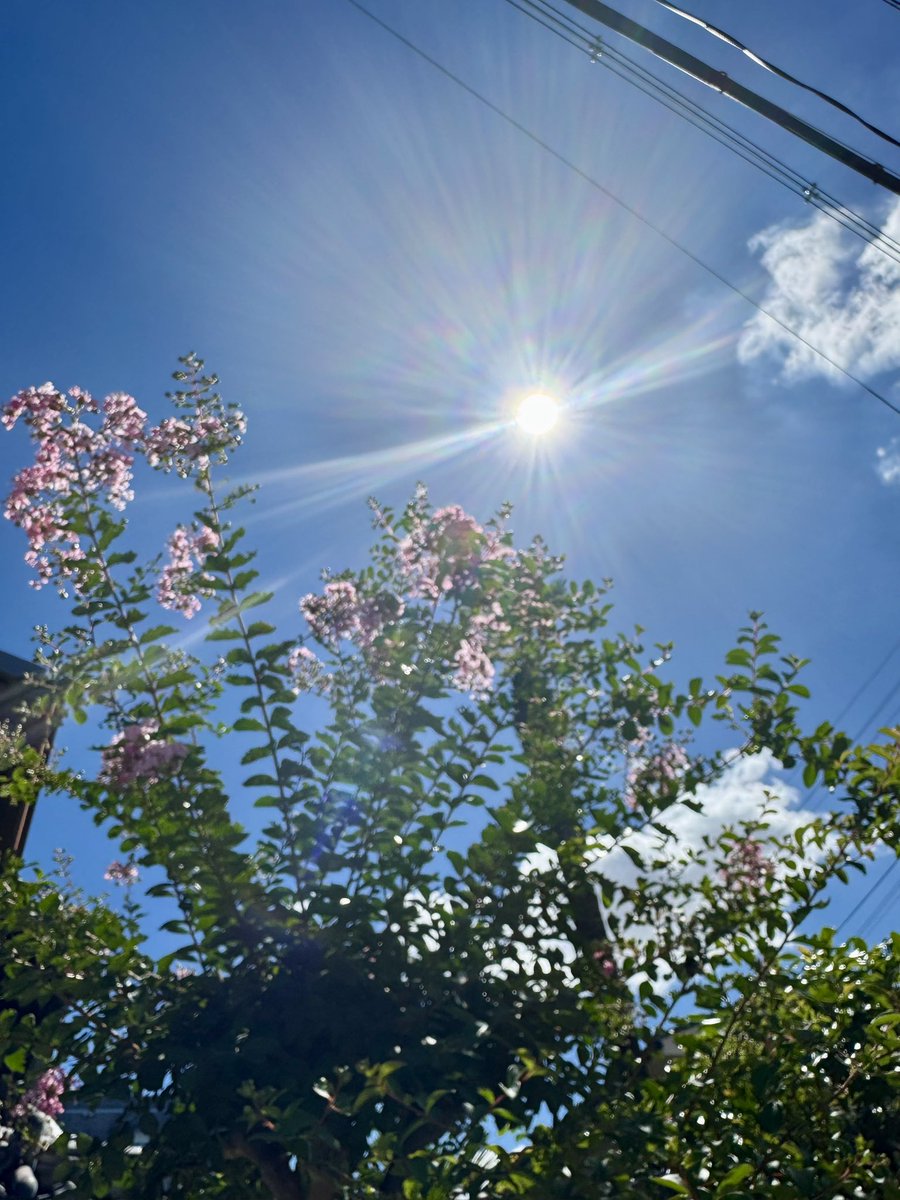 kenji821max's tweet image. 選挙の帰り道
見上げた空
真夏の太陽☀