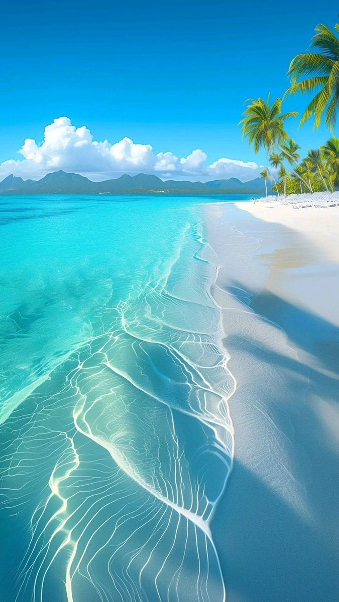 FLORA (@floraaaa_11) on Twitter photo 