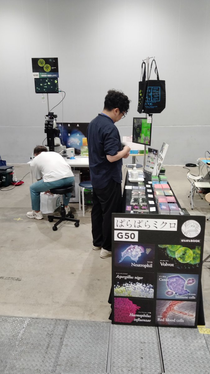 para_micro_TLV's tweet photo. #博物ふぇす 11
始まりました！

ぱらぱらミクロ　G-50

ボルハボックスもいつもより回ってお待ちしてます😊 https://t.co/5LHYC2Wni4