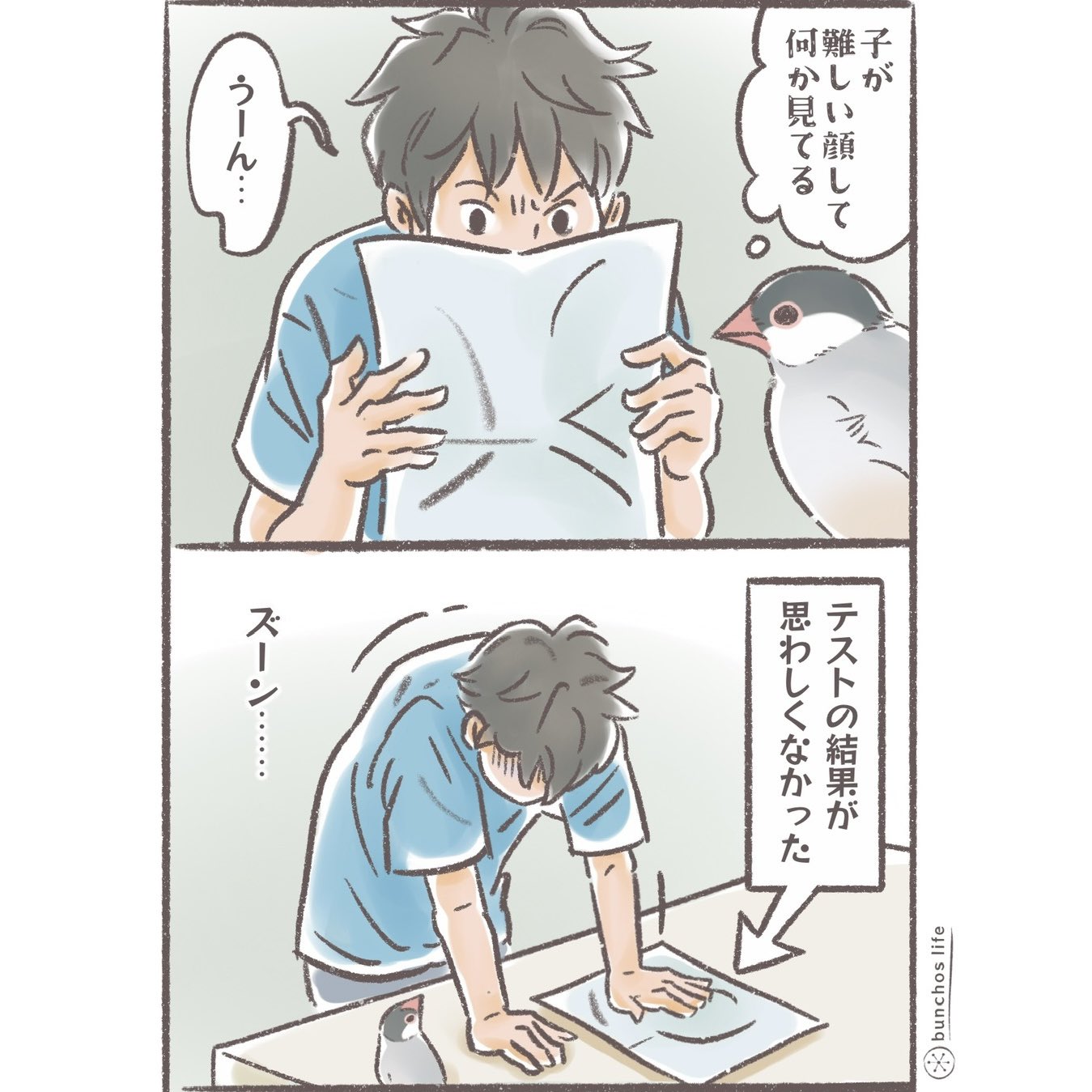 こむぎ🕊️ (@komugi_chan55) / X