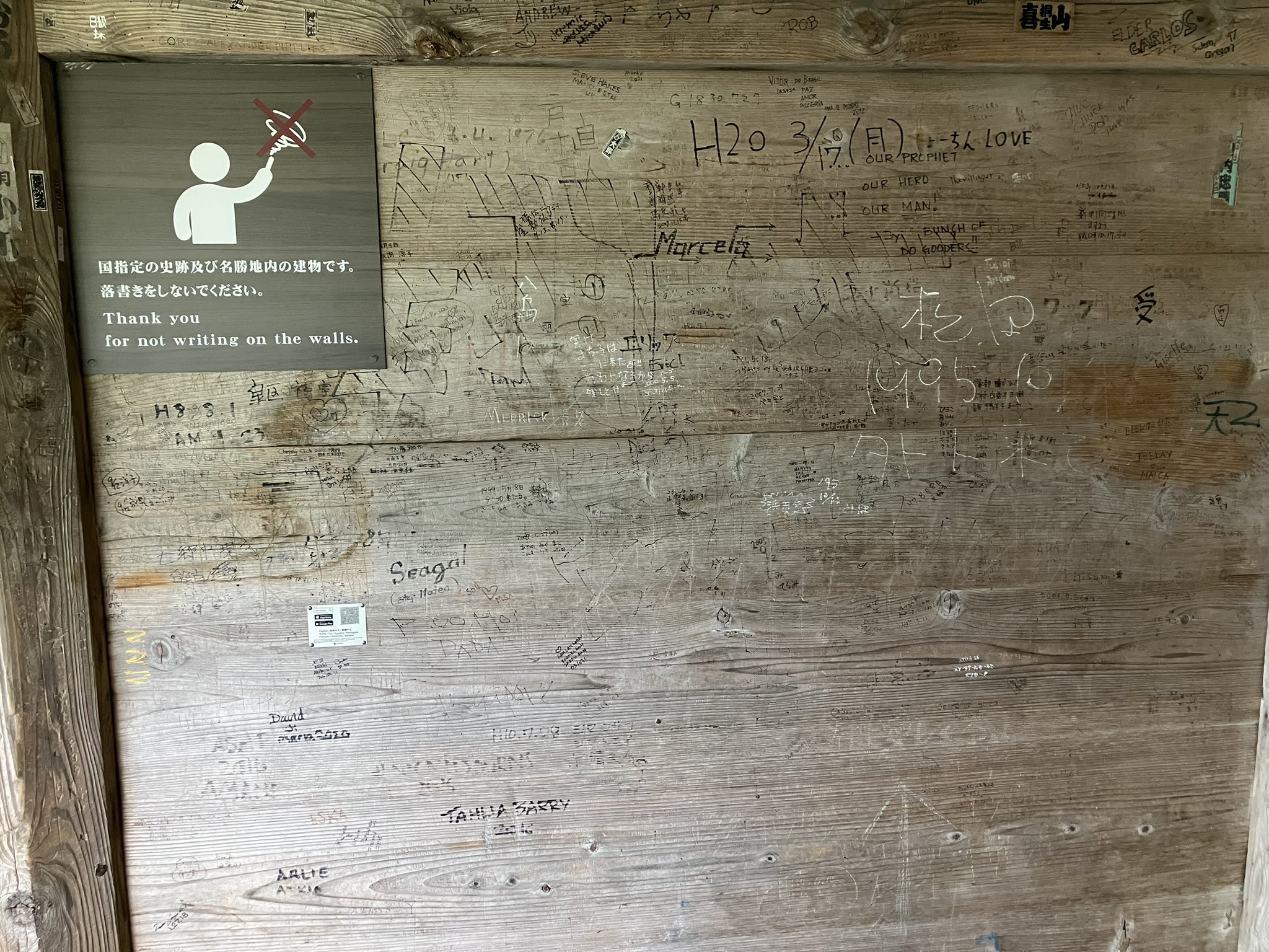 図鑑（バラ売りします。コメントにてお申し付けください） 24時間限定！引かなきゃ損！？WELCOMEオリパ | 日本トレカ
