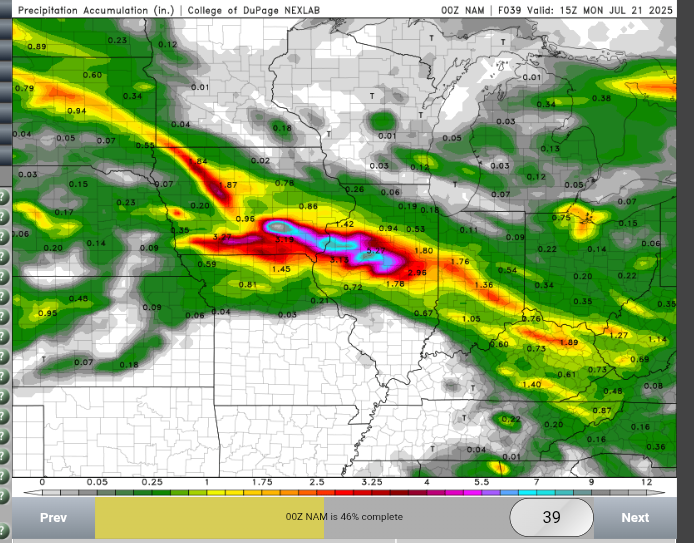 AnubizzzBurner's tweet image. A letter to the NAM: Can you please stop trying to forecast the mega Uber flood of the century for Davenport and Lincoln Illinois. Thank you!